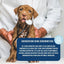 Imby Probiotica Supplement