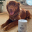 Imby Probiotica Supplement