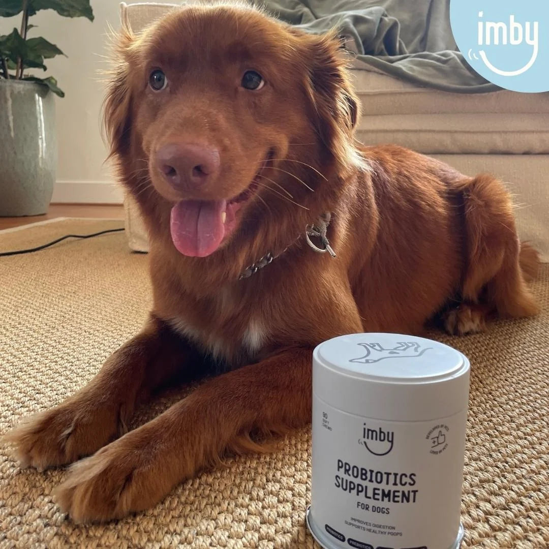 Imby Probiotica Supplement
